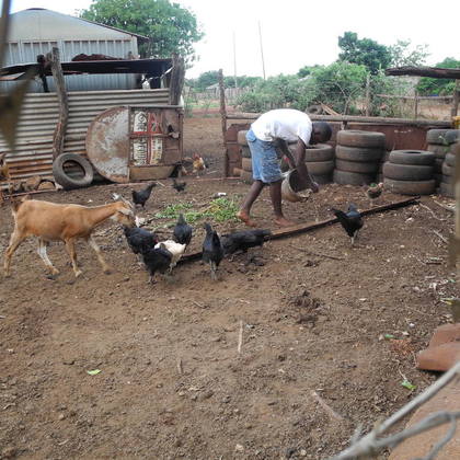Auf dem Bild mein temporärer (Culture Tour) Nachbar beim Tiere füttern.